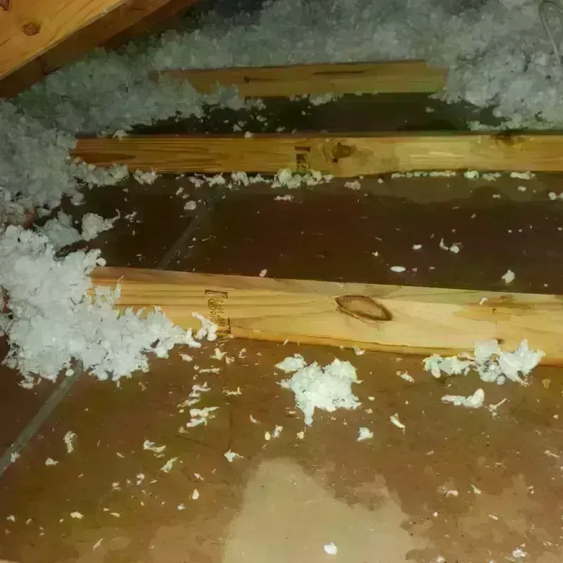 Attic Water Damage in Saint Pauls, NC